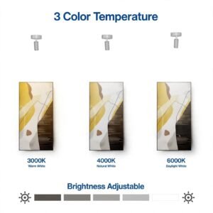 Modern touch control LED desk lamp with adjustable lighting design